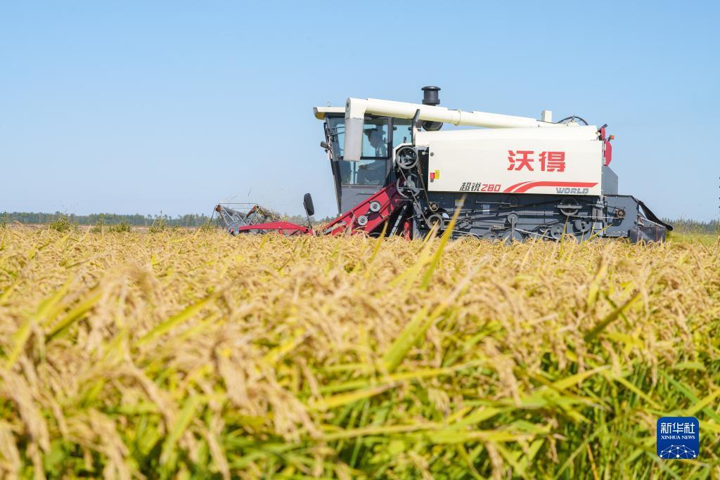 澳门白菜跳槽金活动